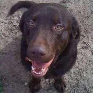 Meet your Posher, Jansen